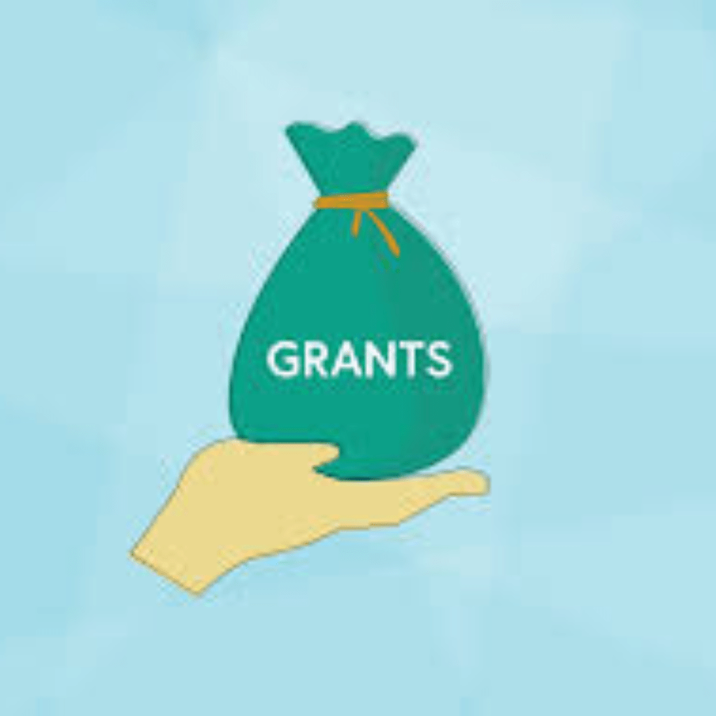 What kind of insulation will a grant cover?